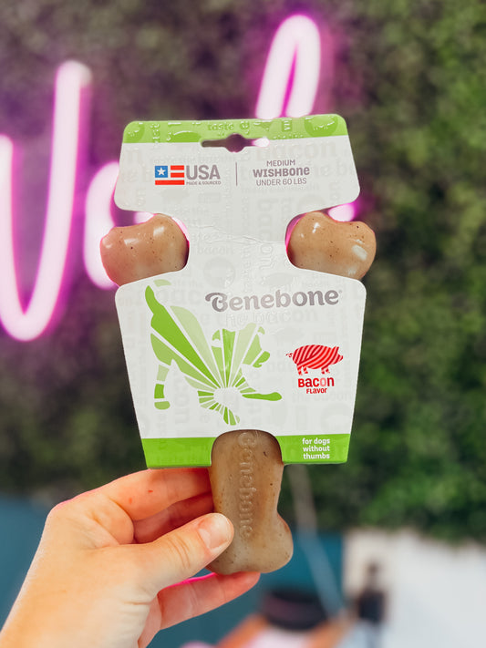 Benebone Bacon Wishbone