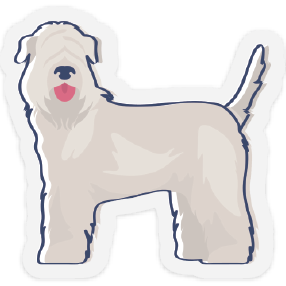 Wheaten Sticker